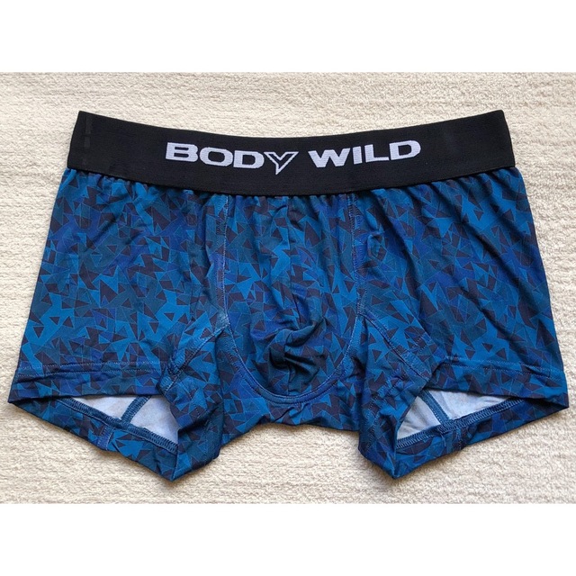 本日迄！HOM＆LANVIN＆BODY WILD ボクサーパンツ Ｌサイズ 4枚