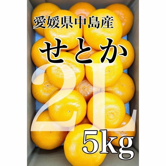 柑橘の大トロ！！うまうまジューシー！！愛媛県中島産【せとか】2Lサイズ 約5kg 食品/飲料/酒の食品(フルーツ)の商品写真