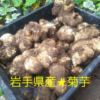 菊芋☆岩手県産無農薬3kg(米/穀物)