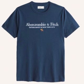 アバクロンビーアンドフィッチ(Abercrombie&Fitch)の新品★アバクロメンズ刺繍ロゴＴシャツ★ブルー★サイズＬ(Tシャツ/カットソー(半袖/袖なし))