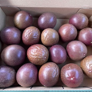 沖縄県産 無農薬 規格外品 パッションフルーツ(フルーツ)