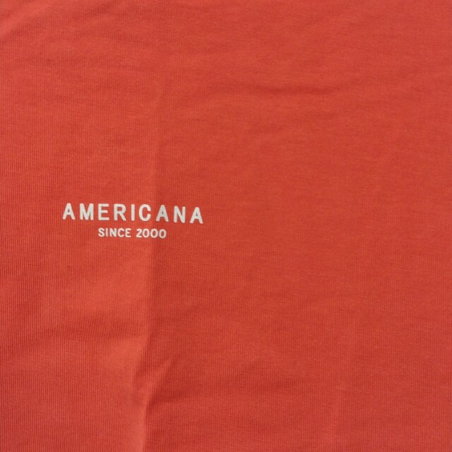 アメリカーナ　Tシャツ 1