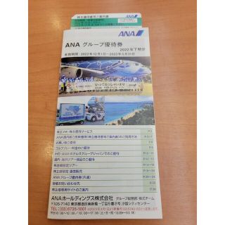 ANA株主優待セット(その他)