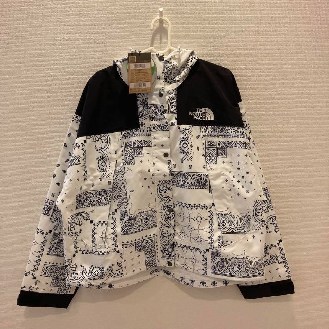 THE NORTH FACE(ザノースフェイス)のノースフェイス W’S GO MOUNTAIN JACKET P メンズのジャケット/アウター(マウンテンパーカー)の商品写真