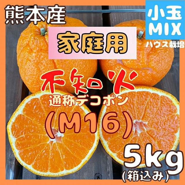 不知火 家庭用 M16 小玉MIX5kg(デコポン) 食品/飲料/酒の食品(フルーツ)の商品写真