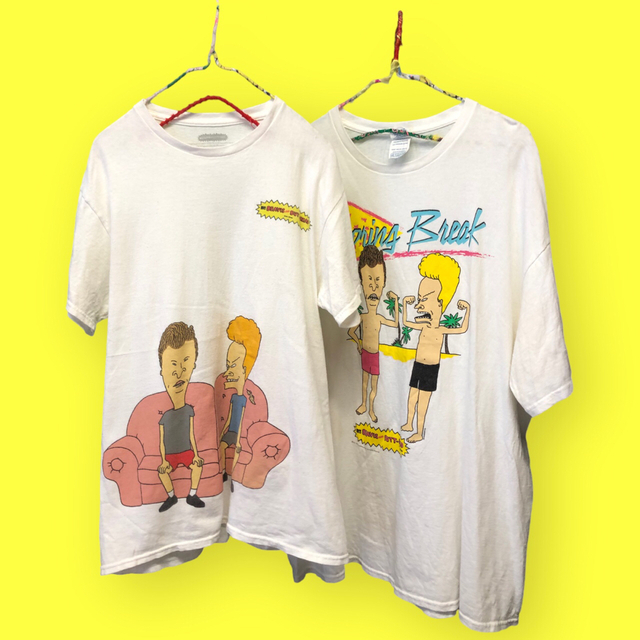 レア 完売品アディダス × Beavis and Butt-Headコラボ