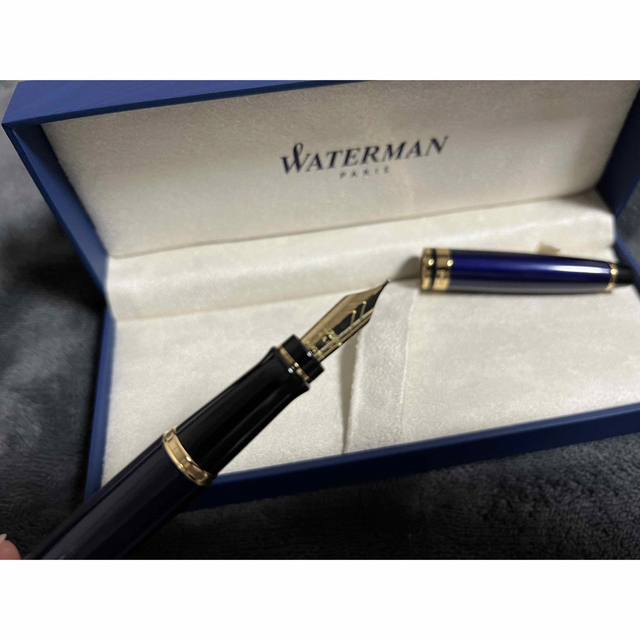 Waterman - ウォーターマン 万年筆18Kエキスパートエッセンシャル