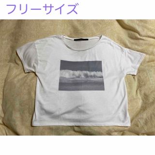 ケービーエフプラス(KBF+)の【中古＊美品】モノクロ写真のTシャツ(Tシャツ(半袖/袖なし))