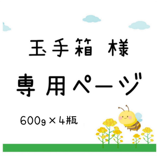 【玉手箱様 専用ページ 600g×4瓶】(野菜)