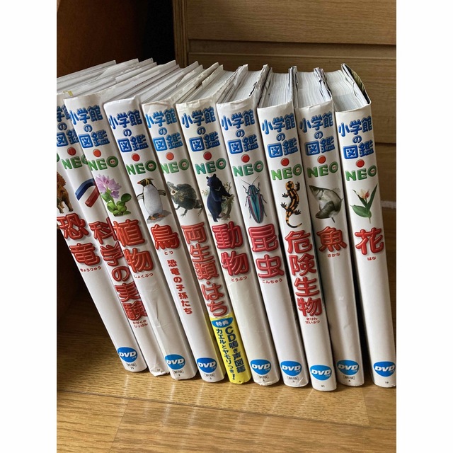 低価格の　DVDなし　小学館図鑑Neo　１０冊　6268円