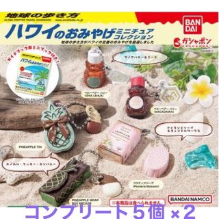 コンプリート×2セット ハワイのお土産 ミニチュアコレクション 10個セット(その他)