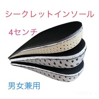 シークレットインソール男女兼用【4センチ】10足セット　おまとめお得品‼️(その他)