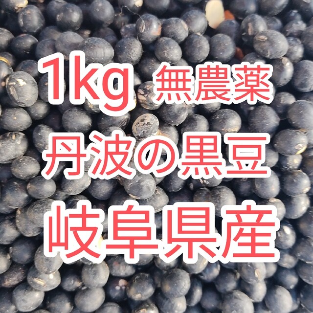 訳あり　無農薬　丹波黒大豆　1kg 食品/飲料/酒の加工食品(豆腐/豆製品)の商品写真