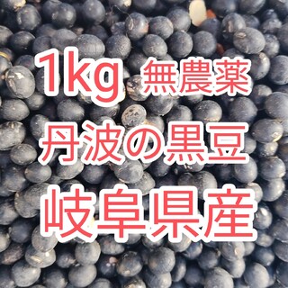 訳あり　無農薬　丹波黒大豆　1kg(豆腐/豆製品)