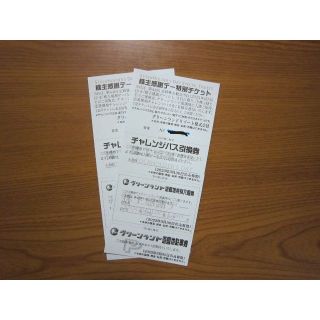 グリーンランド　株主優待券　2枚　(遊園地/テーマパーク)