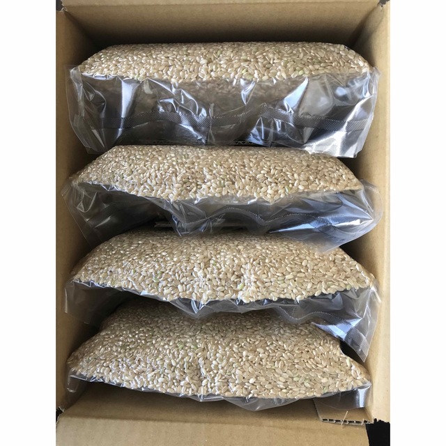 自然栽培　肥料不使用　R4年　朝日米　小袋×4　農薬不使用　10kg玄米　在来種　米/穀物