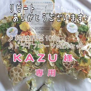 【10種類の乾燥野菜MIX】自然の美味しさギュッと凝縮♪無添加無着色 ドライベジ(野菜)