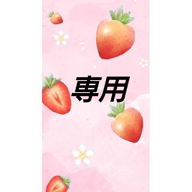 いく's shop様 専用 その他のその他(その他)の商品写真