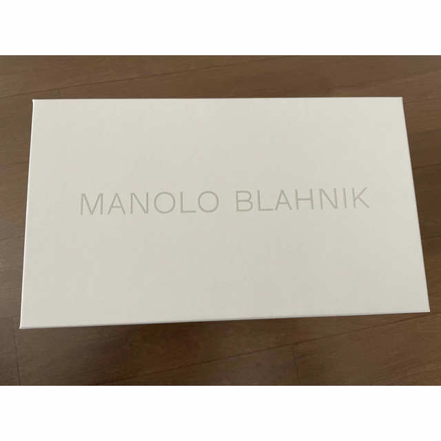 MANOLO BLAHNIK(マノロブラニク)のManolo Blahnik ハンギシ グリッター パンプス レディースの靴/シューズ(ハイヒール/パンプス)の商品写真