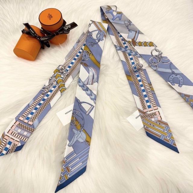 Hermes - 【新品未使用】レア エルメス ツイリー 馬勒とチャーム