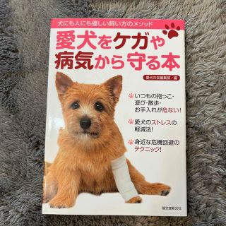 愛犬をケガや病気から守る本 犬にも人にも優しい飼い方のメソッド(住まい/暮らし/子育て)