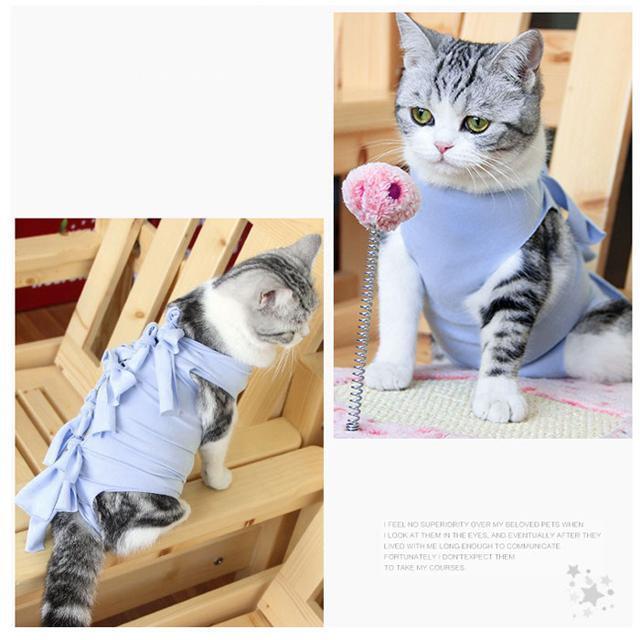 【並行輸入】猫 術後服 ya001 その他のペット用品(猫)の商品写真