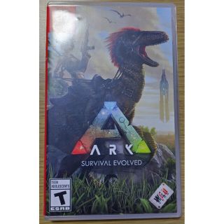 ニンテンドースイッチ(Nintendo Switch)のSwitch スイッチ　アーク　ARK(その他)