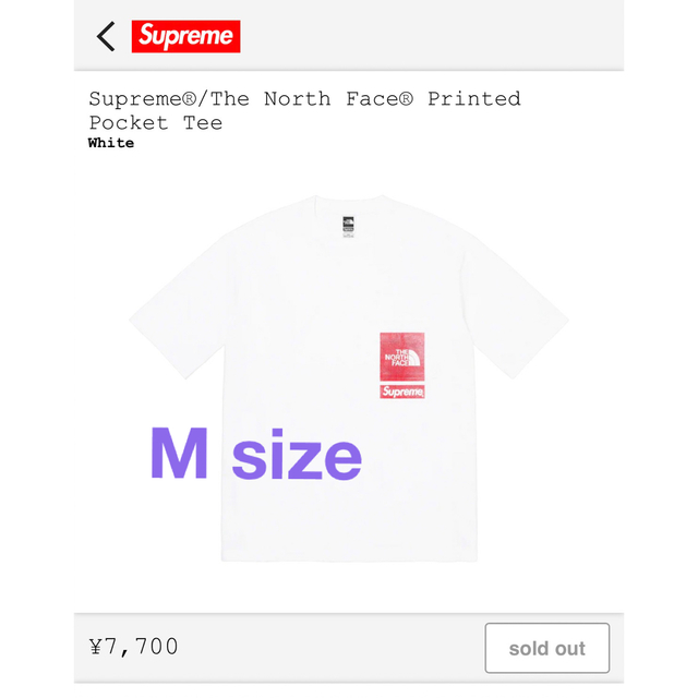 Supreme THE NORTH FACE tee  M