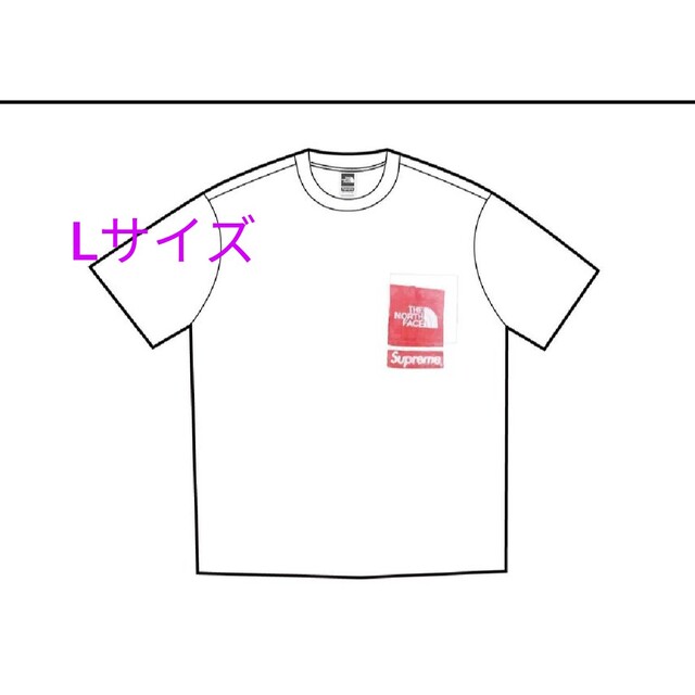 シュプリーム ザ ノース フェイス プリンティド ポケット Tシャツ