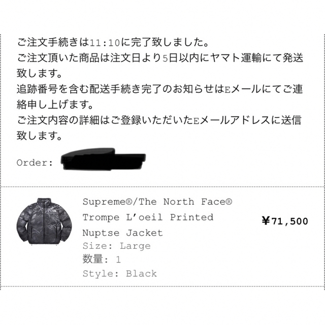 Supreme(シュプリーム)のSupreme The North Face Printed Nuptse  メンズのジャケット/アウター(ダウンジャケット)の商品写真