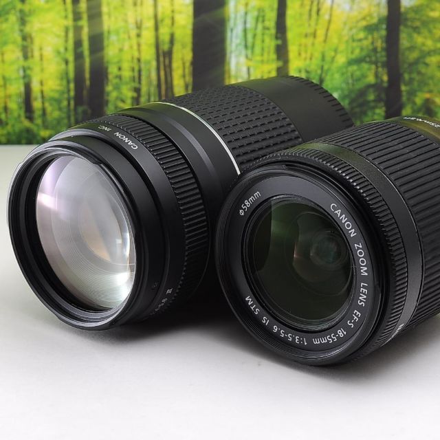 Canon EOS 70D ダブルセット☆高速連写のWiFi搭載機☆3520
