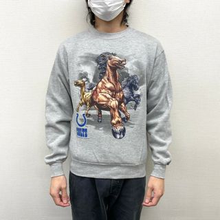 リー(Lee)の【中古】 リー スポーツ Lee SPORT NFL インディアナポリス コルツ スウェットシャツ プルオーバー トレーナー ロゴ 馬 プリント 長袖 サイズ：Boy's L グレー 古着 中古 mellow(スウェット)