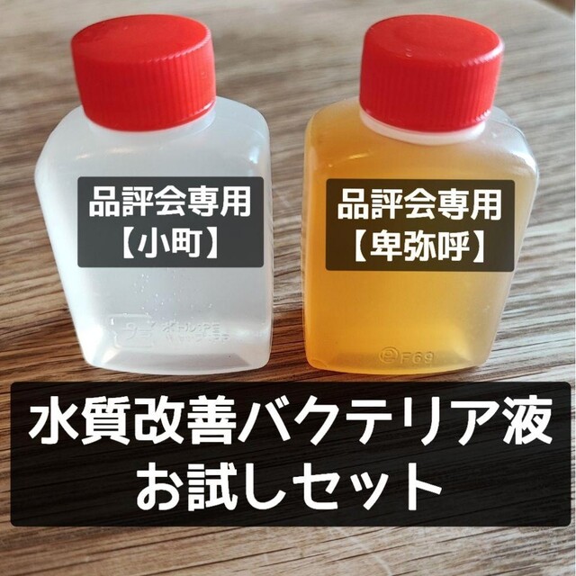 独特な店 小町 品評会専用水質浄化バクテリア液 1L 使用説明書付 サムライR 品評会専用水質浄化バクテリア液 1L(使用説明書付)