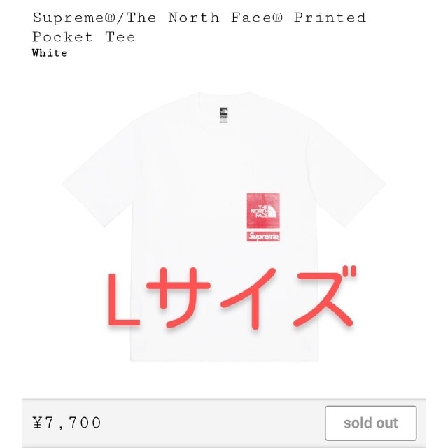 Supreme  North Face Printed Pocket TeeTシャツ/カットソー(半袖/袖なし)