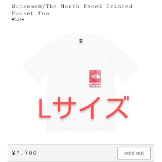 【S】Supreme/North Face Printed Pocket Tee