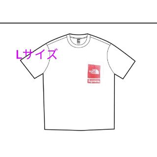 シュプリーム ザ ノース フェイス プリンティド ポケット Tシャツ L