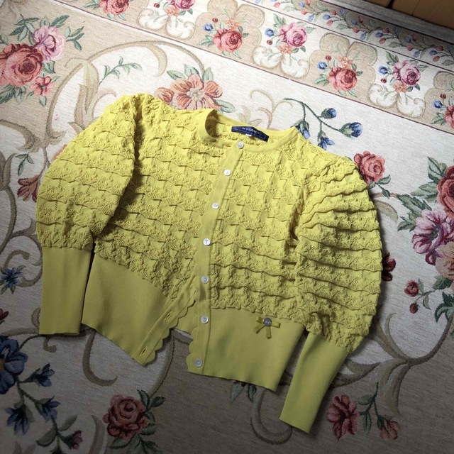 未使用　エムズグレイシー　Cardigan 38 未使用 エムズグレイシー Cardigan 38