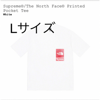 supreme the north face printed pocket