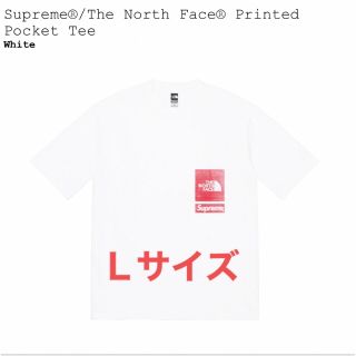 シュプリーム(Supreme)のシュプリーム ザ ノース フェイス プリンティド ポケット Tシャツ L(Tシャツ/カットソー(半袖/袖なし))