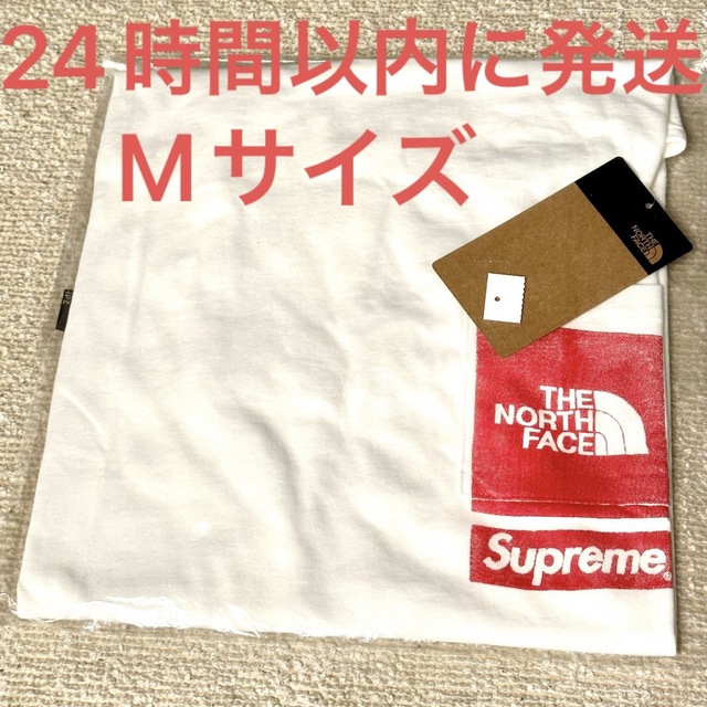 トップスThe North Face Printed Pocket Tee M Tシャツ