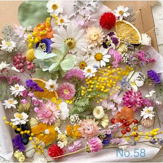 No.58❇︎ドライフラワー花材セット❇︎Spring❇︎L❇︎《盛り沢山》(ドライフラワー)