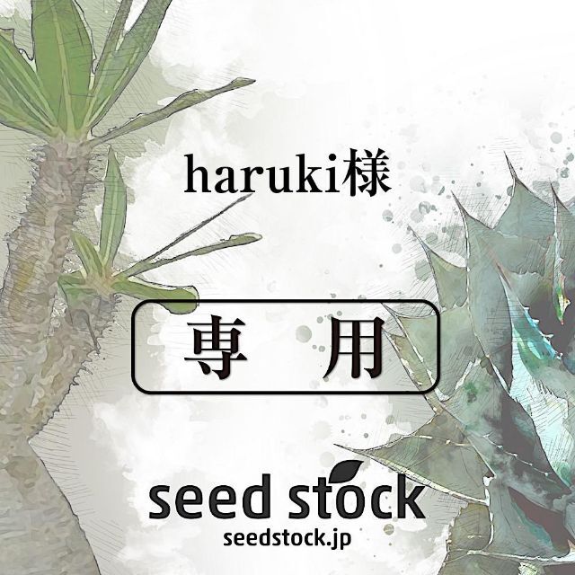 haruki様専用 | フリマアプリ ラクマ