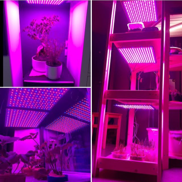 【色: パープル 2PCS】GREENSINDOOR 植物育成ライト LED 植