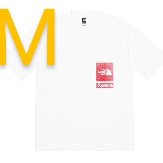 Supreme The North Face Printed  tee