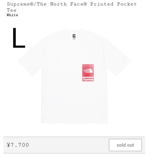 Supreme The North Face Printed Pocket T - Tシャツ/カットソー(半袖