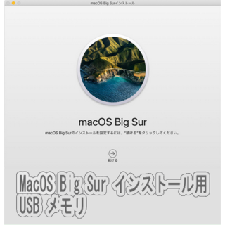 MacOS 11.0 Big Sur インストールUSB3.2 メモリー(その他)