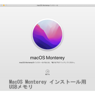 MacOS 12.4 Monterey インストールUSB3.2 メモリー(その他)