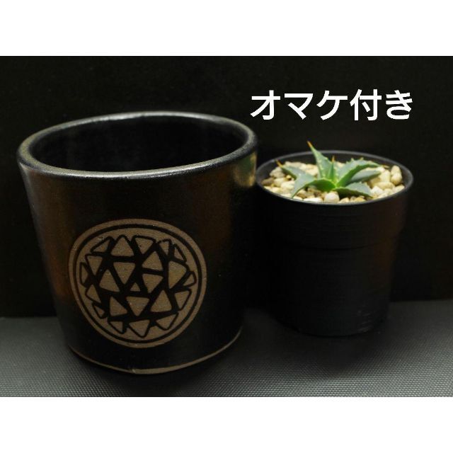 オマケ付き]鶴仙園 behind simple pot emblem 黒 【WEB限定】 net