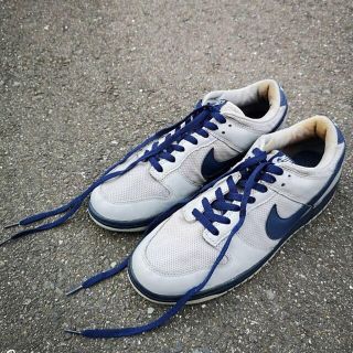 ナイキ(NIKE)のNIKE DUNK LOW 05 ナイキ ダンク ロー シルバーサーファー　29(スニーカー)