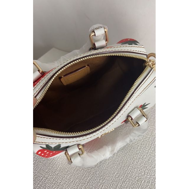 COACH コーチストロベリー2wayショルダーバッグ【新品】 今季一番 e